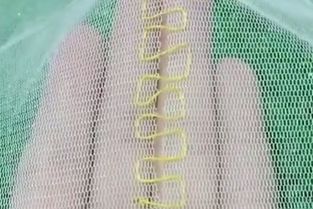 網(wǎng)紗衣物破損怎么辦？專業(yè)修補技巧與選購指南